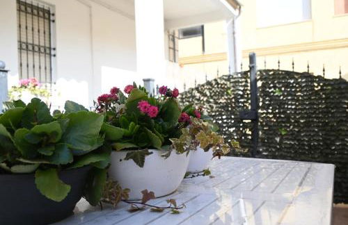 P050 - Porto Recanati, elegante trilocale in centro storico - Foto 3