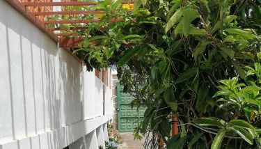 Finca Los Álamos - Foto 3