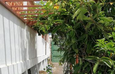 Finca Los Álamos - Foto 3