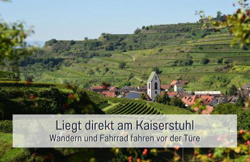 Apartment, close to Europa Park, Alsace, Black Forest, family friendly, dogs allowed - Foto 26