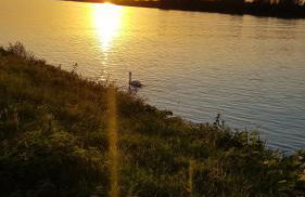 Casa Joda - Photo 32