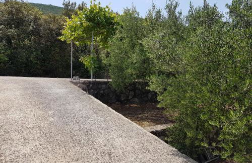 Holiday home >Nikola< Brijesta - Foto 33