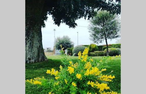 APPARTAMENT '' IL GIARDINO '' - Photo 11