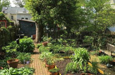 1879 Downtown Annapolis Home with Koi Ponds and Gardens - Foto 12