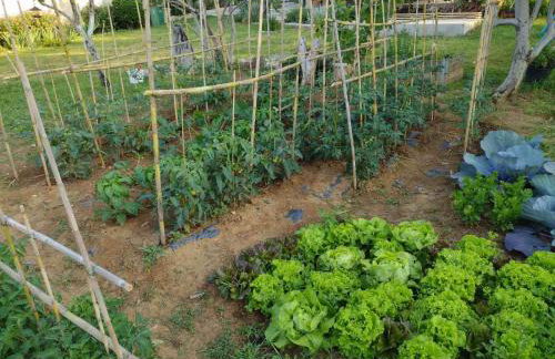 Jardin, apartment ideal for a quiet getaway, Dalmatia - Foto 17