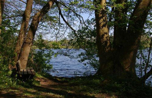 FeWo Am See 15A - Foto 17