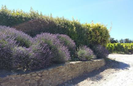 Domaine Fontgrande Gîte - Photo 42