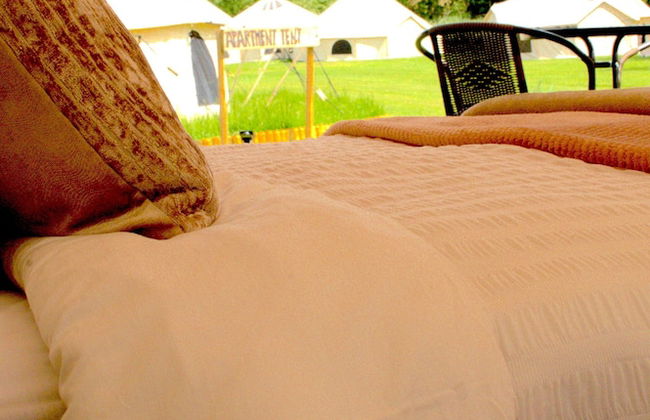 Bell Tent Village - Photo 12