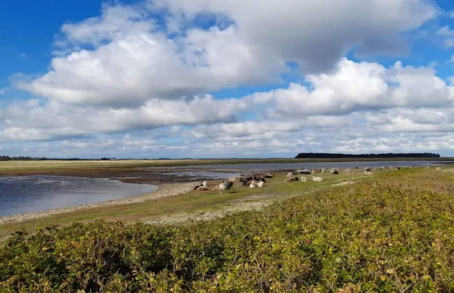 4 Person Holiday Home on a Holiday Park in Lemvig - Foto 47