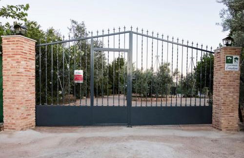 Casa Rural Entreolivos - Foto 21