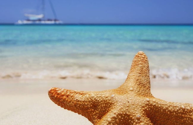 Royale Suites by Arc Royale Luxury Apts - Photo 23