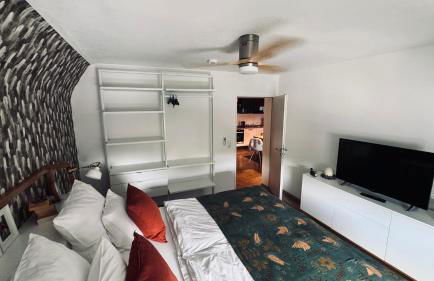 Domus Merian XII - Foto 36