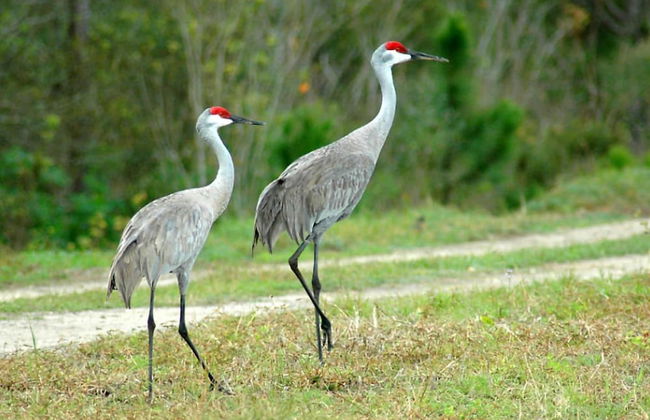 Stunning Luxury Mediterranean-style Private Oasis! - Foto 24