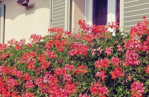 Dionisia's Home, Pool, Spa on Monviso UNESCO ALPS - Foto 20