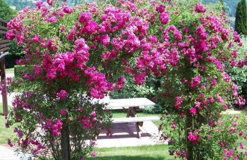 Gîte de grettery - Foto 5