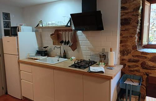 Nuevo sabor rural Ribeira Sacra - Foto 7