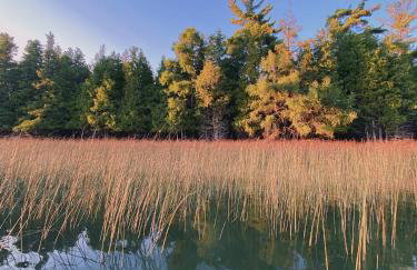 Bay Point Hideaway in the Woods - Foto 55