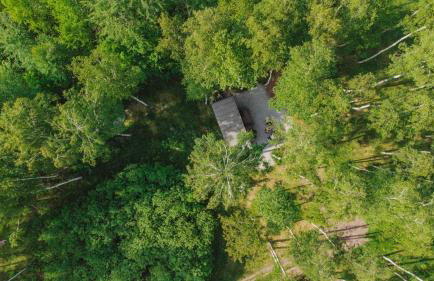 Hidden Base - romantyczna leśna kryjówka - Photo 6