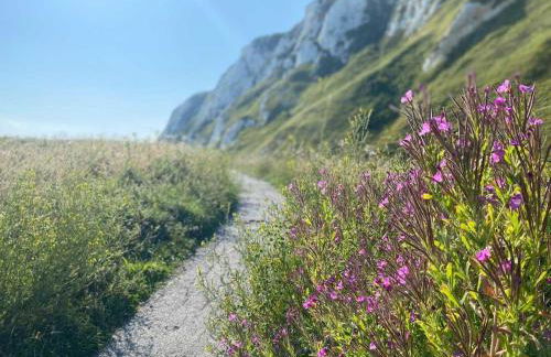 Goose Shed Rural Farm Cottage in Stelling Minnis Canterbury - Area of Outstanding Natural Beauty - Foto 23