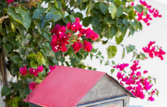 Carvoeira Surf & Family Villa - Foto 34