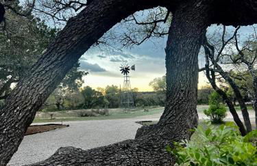 Feed Deer and Chickens Cozy Cottage 8 min to Boerne - Photo 22