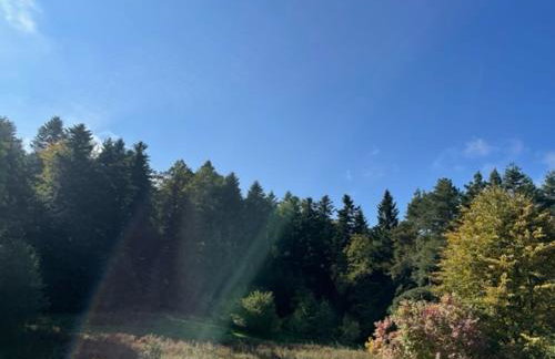 Apartamenty Na Szlaku - Foto 21