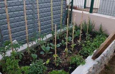 apartman MAMA - Foto 15