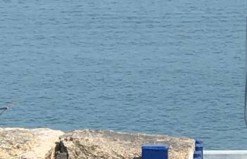 Slieve Donard Cottage Widows Row cottages - Foto 6