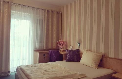 Hotel Ring Park - Foto 7