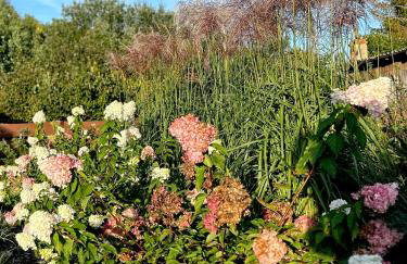 Szumiące Trawy w Borach Tucholskich-Nowa Sauna - Foto 55