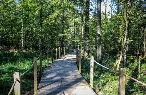 Leśna 21 Dom Północ przy PUSZCZA BIAŁOWIESKA - Foto 55