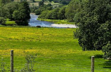 Cwmgwn Farm - Foto 42