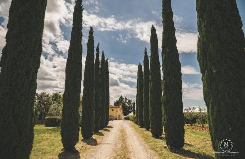 Villa S.Andrea - Foto 73