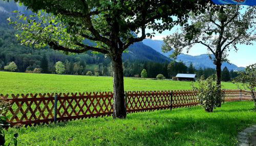 Haus Angelika - Foto 4, Garden, Garden view