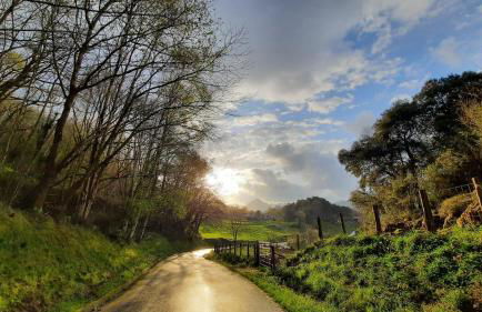 La casa de abajo - Foto 30