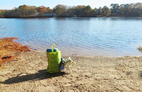 Pond Front Beach Pet Friendly AC WiFi - Photo 26