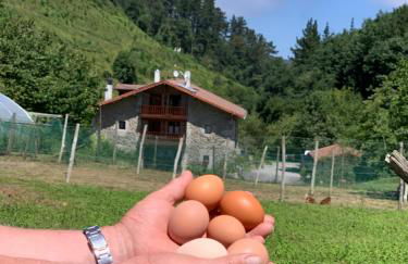 Agroturismo Urresti - Foto 69