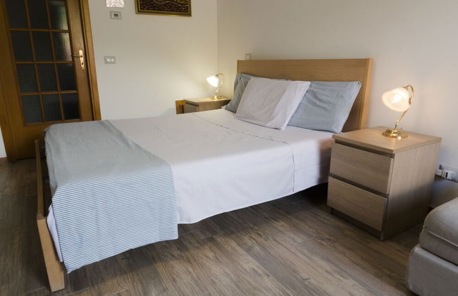 Viola nel Parco - Foto 9