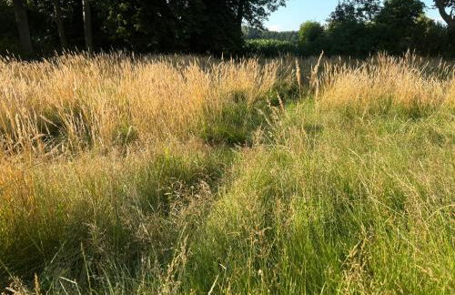 Gasthaus zur Grenze - Foto 17