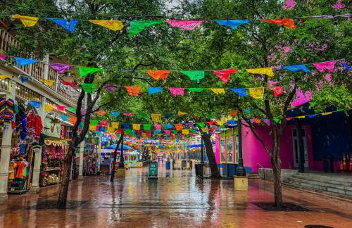 Spacious Room in shared home 9 Min to Convention Center - Foto 22