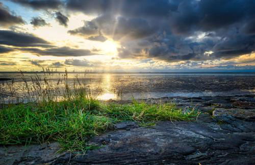 Herzmuschel C4 - Tossens - Foto 16