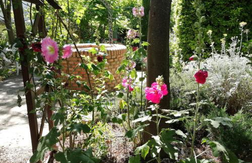 Cortijo Los Abedules - Foto 21