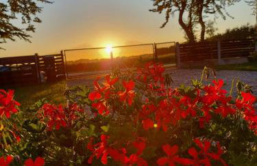 Osada Natura - Photo 67