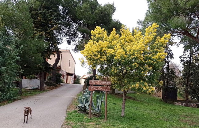 Il Cantiniere - Foto 43