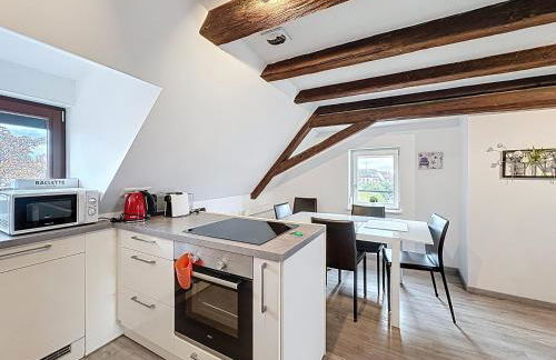 A L'ill - Apparts & Studios Strasbourg Hyper Centre - Foto 26