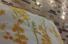 La Casa de la Mimosa - Foto 59