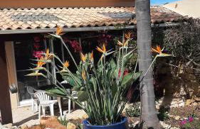 Le jardin de Teresa - Foto 41