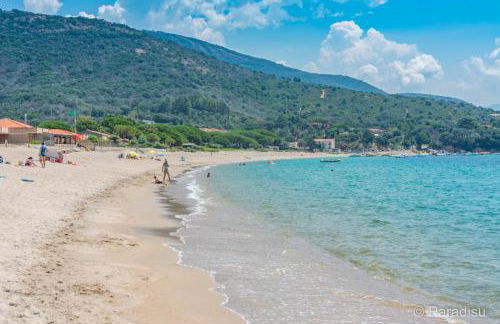 Fiori di sperenza - Foto 23