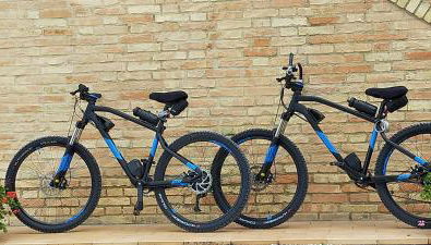 Il Giardino degli Ulivi - Foto 5