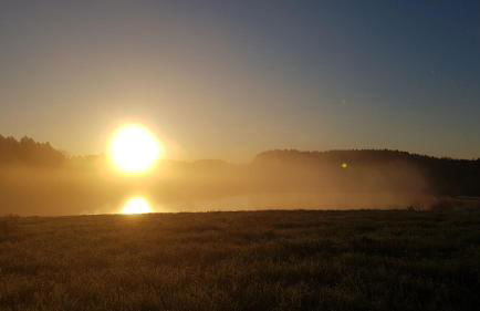 Ferienwohnung im Gartenparadies - Foto 29
